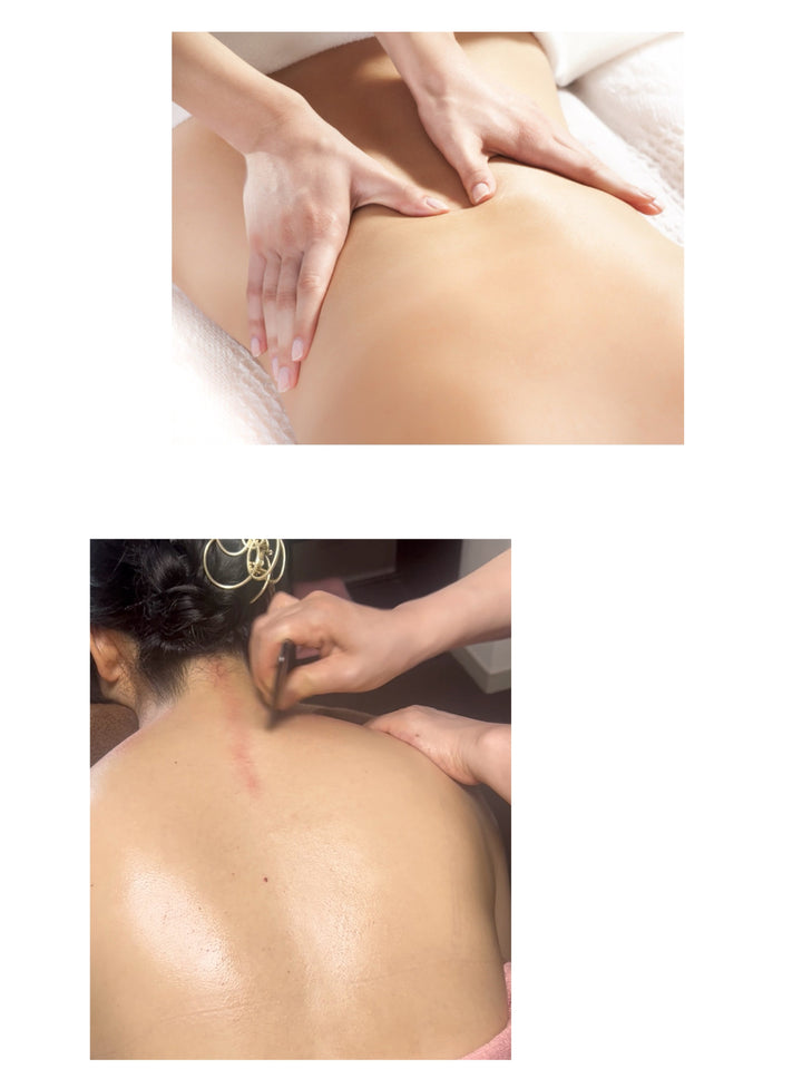 未病先防 "なんとなくの不調、病気になる前に防ぐ"