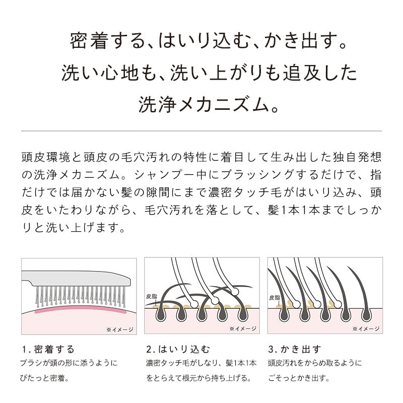 リファイオンケアブラシプレミアム