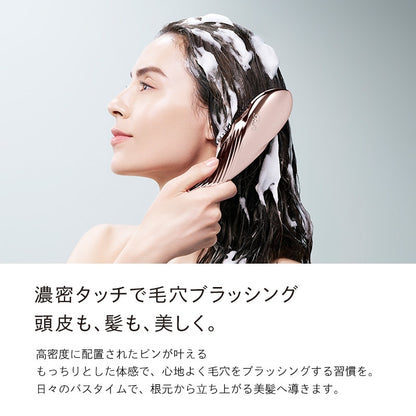 リファイオンケアブラシプレミアム